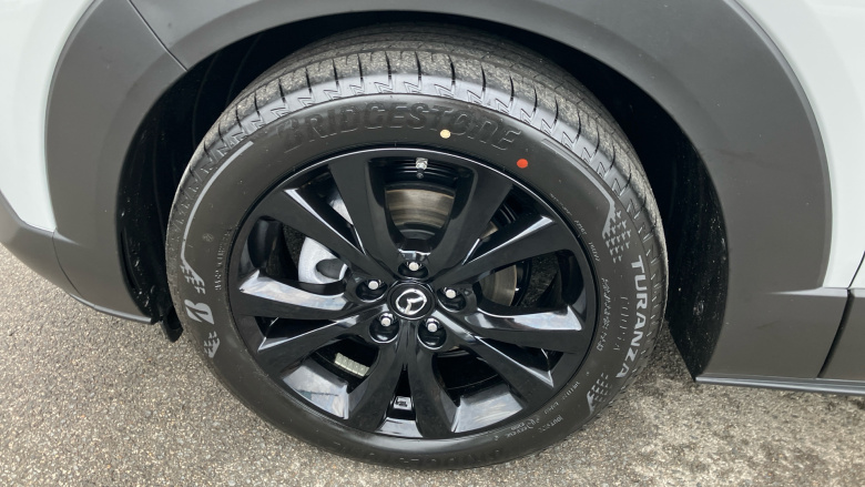 Mazda CX-30 2.5 e-Skyactiv G MHEV [140] Homura 5dr Petrol Hatchback